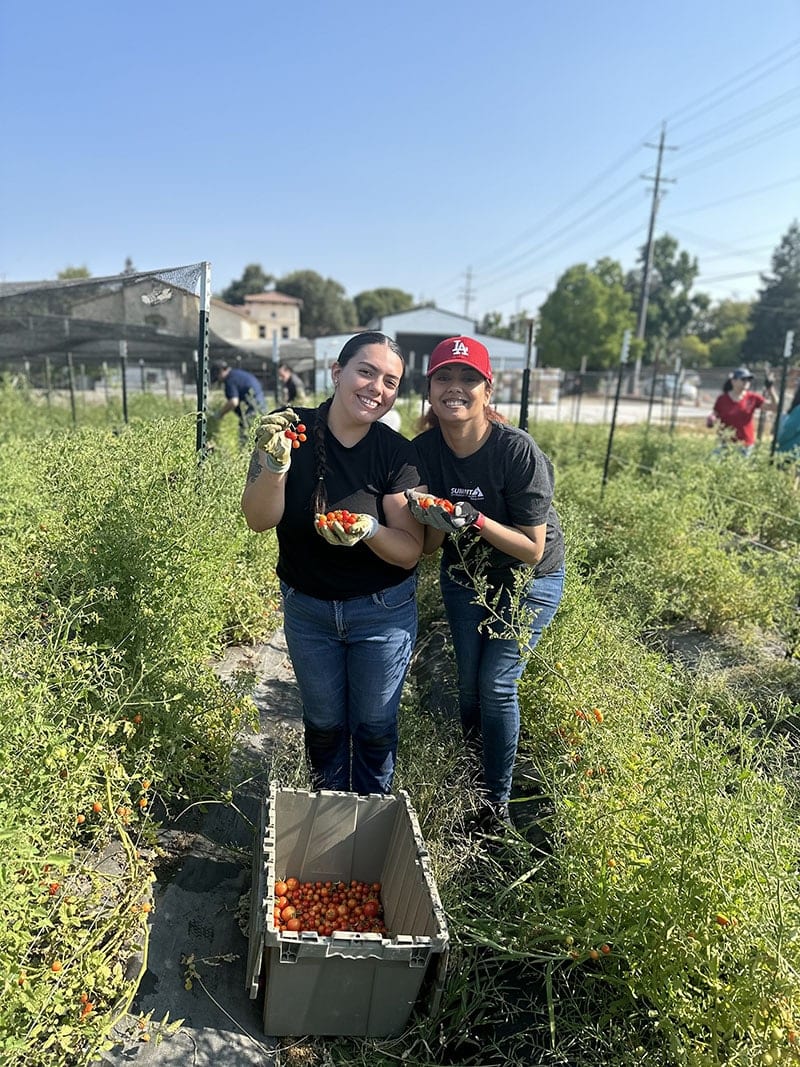  Community Volunteering