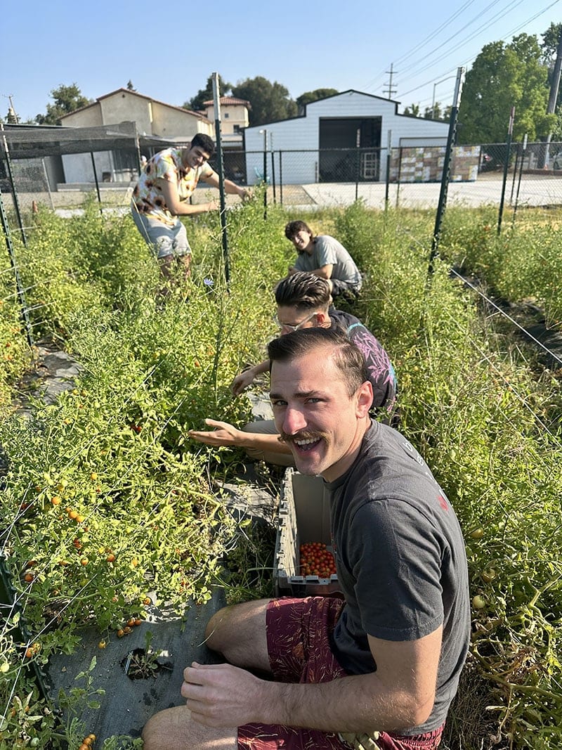  Community Volunteering